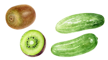 Kiwi fruit cucumber set watercolor isolated on white background