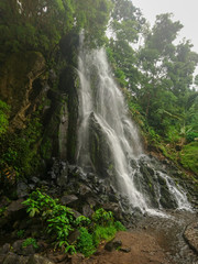 waterfall in the forest