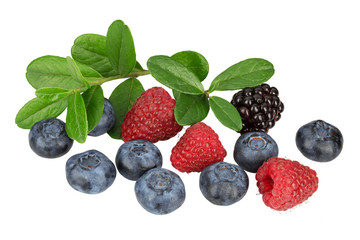 Blueberries, blackberry and raspberry with a sprigs with leaves on white background isolated