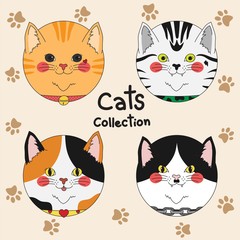 Cat Collection Set
