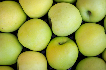 Close-up golden green apples background. Top view of green, yellow apples. 