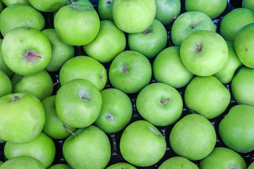 Green apples background. Top view of green apples.