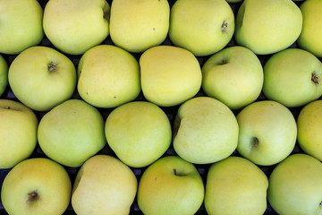 Golden apples background. Top view of yellow apples.  Apple pattern texture.
