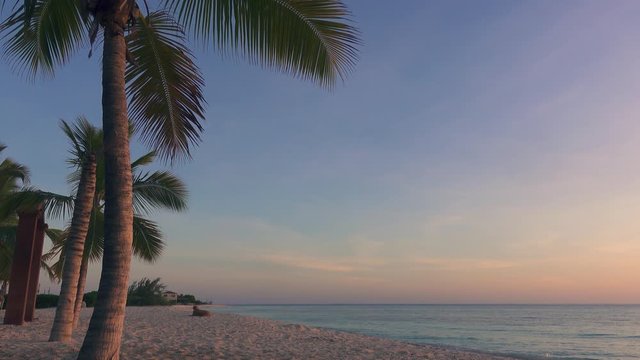 Palm trees on the edge of a beautiful white sand beach at sunset in Grand Turk, Turks & Caicos Islands - 4k