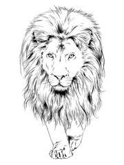 lion drawn with ink from the hands of a predator tattoo logo	