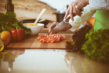 Unknown human hands cooking in kitchen. Woman slicing red tomatoes. Healthy meal, and vegetarian food concept
