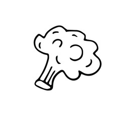 Broccoli or asparagus cabbage drawn in Doodle style, black outline, vector illustration for menu design, printing. Isolated on a white background. 