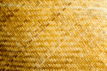 texture background of bamboo plant