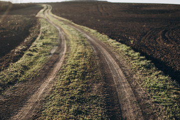 Fototapeta na wymiar Fertile land. The road going to the horizon in the field.