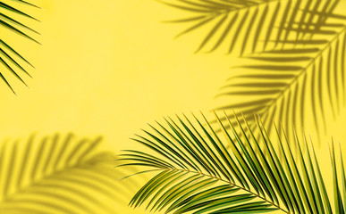 Fototapeta na wymiar Palm leaf and shadows on yellow background.