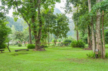 Lawn of Green Garden Landscape