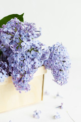 A fresh bunch of lilac flowers is in the wooden box. Spring concept.