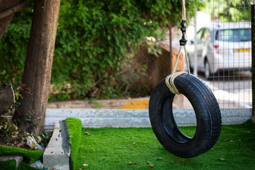 tire swing on the grass