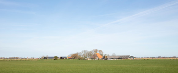 Fototapeta na wymiar Farm in the north of the Netherlands