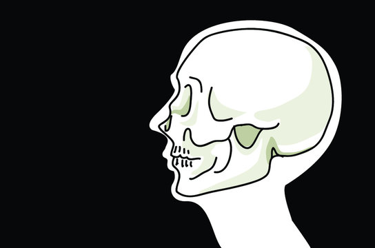 head x-ray skeleton skull side face anatomy person silhouette on black background