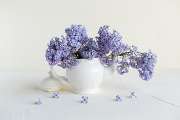 Fresh lilac flowers in a white tea pot and cup are on the table. Spring concept.