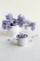 Fresh lilac flowers in a white tea pot and cup are on the table. Spring concept.