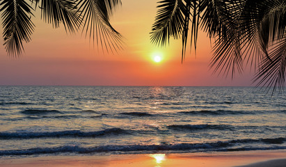 Summer tropical beach sunset with palm tree leaves silhouette 
