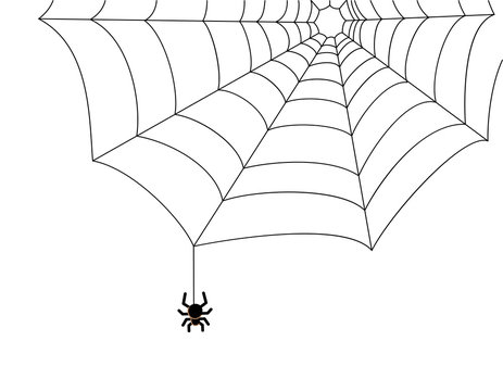 A simple spider on a web in the corner. Black and white vector illustration. The decor element is isolated on a white background. A dangerous insect, arthropod, frightening all the people.