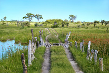 Okavango Delta, road for off-road car in wild Moremi Game Reserve, Botswana, Africa