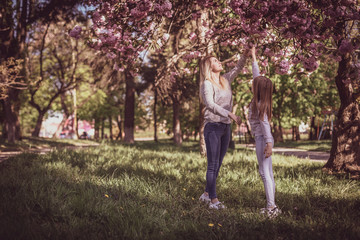 Naklejka na ściany i meble Sakura blossomed. Young mother with her child have fun in the park near the sakura. Spring morning. They look at each other