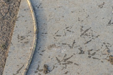 Dirty mud footprints at gray poultry farm bottom next cable. Rural agriculture scene with dirt fototprint outdoor. The animal was here short time ago. Nice farming background with much copyspace