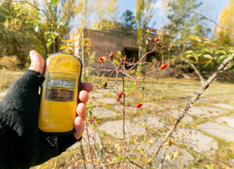 Persons hand with geiger counter is showing minimal radiation level by the plant with red fruits in...