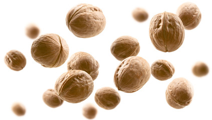 Whole walnuts levitate on a white background