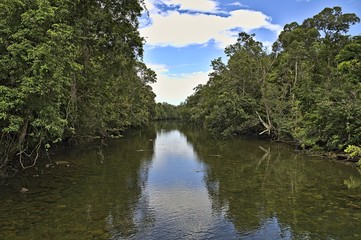 Fototapeta na wymiar View from a bridge at Bloomfield River in the Daintree rainforest