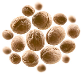 Whole walnuts levitate on a white background