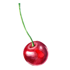 Watercolor cherry