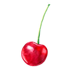 Fresh cherry in watercolor