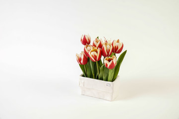 Miniature flower arrangement