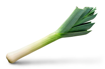 Fresh green leek front view