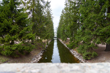beautiful picturesque little river channel in the Park