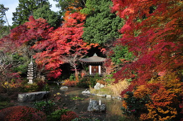Fototapeta premium 紅葉と祠