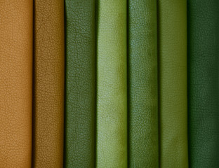 Leather samples in various colors.