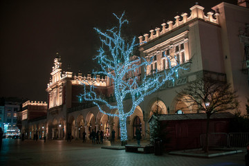 nocny kraków