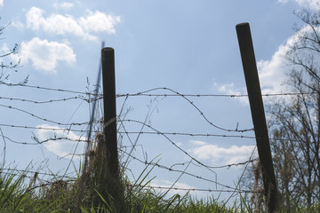 barbed wire fence against blue sky