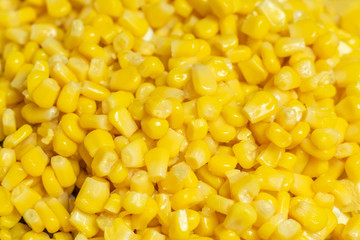 Yellow sweet canned corn background, texture close up