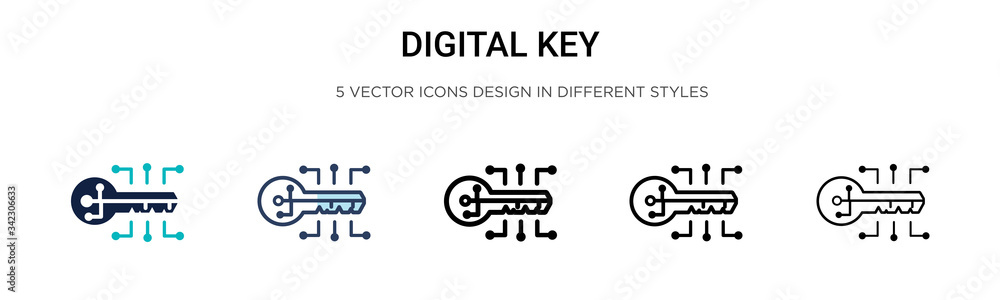 Poster digital key icon in filled, thin line, outline and stroke style. vector illustration of two colored 