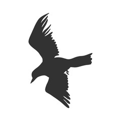Black Bird Isolated On A White Background Hand Drawn Illustration