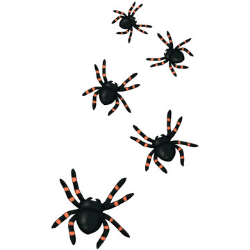 Halloween Spiders Isolated On A White Background Hand Drawn Illustration	