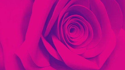red-violet macro rose abstract background