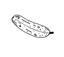 Cocumber vector illustration in Doodle style. Black outline, isolated image on a white background. For menu design, printed products.
