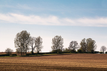 Springtime On Farmland / An image of farmland and hedgerow on a beautiful spring day. Shot near Kibworth Harcourt, Leicestershire, England, UK.
