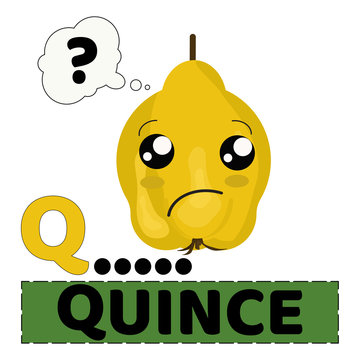 quince fruit character vector