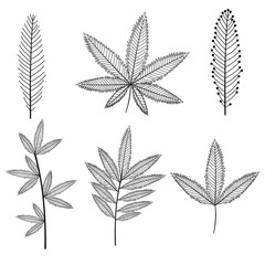 Set, collection, sketch of leaves and twigs with a black outline on a white background, vector illustration, design