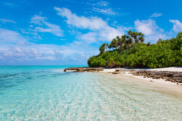 Large Bird on Maldive Island Sand Beach