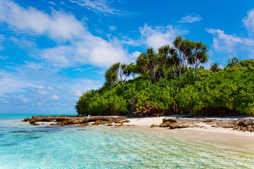 Large Bird on Maldive Island Sand Beach